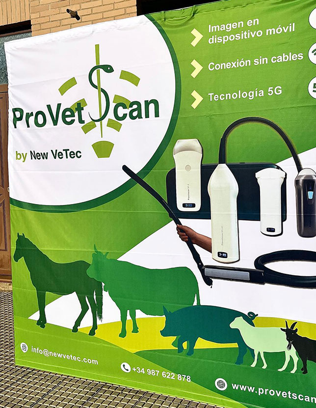 Personalización de productos para eventos y ferias Dany Llamas en León